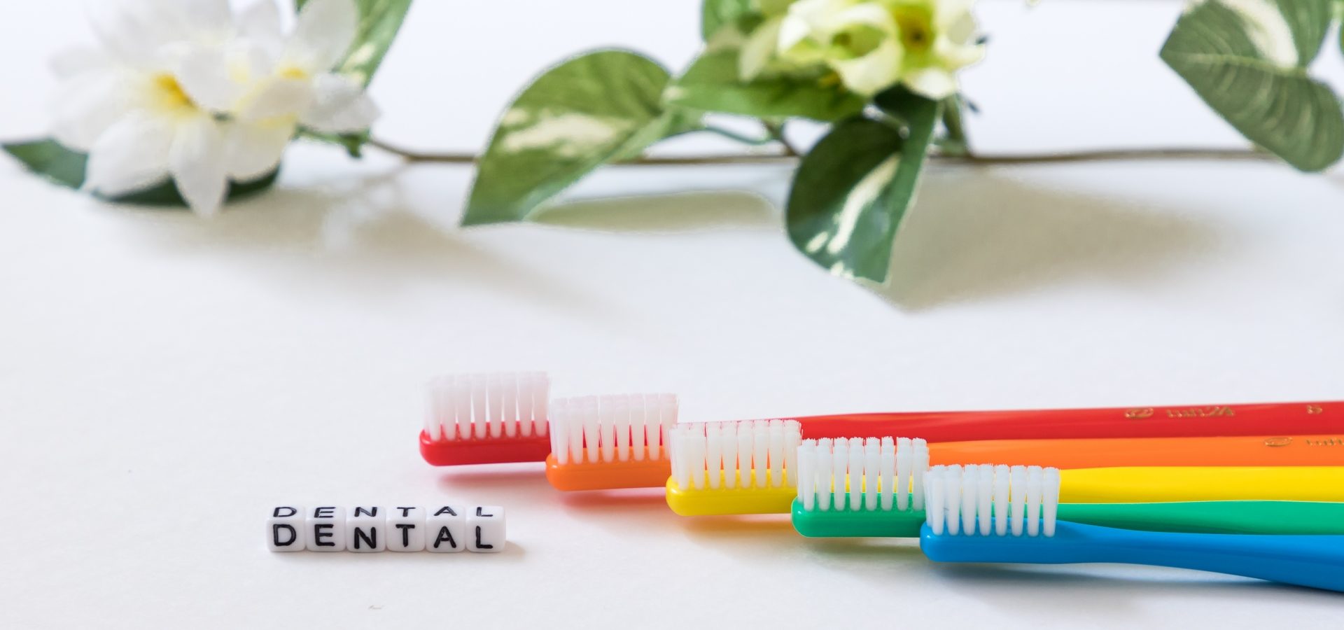 「デンタルハーモニー」